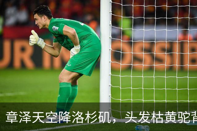 章泽天空降洛杉矶，头发枯黄驼背身材六四分，网友：毫无气质好土
